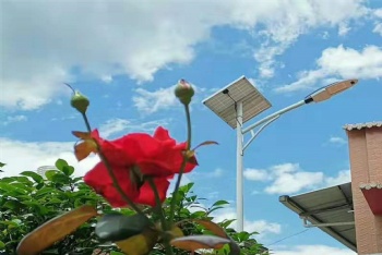 QYGMX-40W LED solar street light